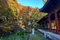 Beijing Summer Palace autumn, China