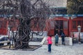 Beijing Temple of Confucius Royalty Free Stock Photo