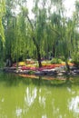 Beijing zhongshan park