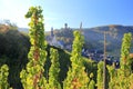 Fortification Metternich. Beilstein ... the best place on the Moselle River Mosel. Rhineland-Palatinate, Germany. Royalty Free Stock Photo