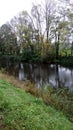 Rain, Autumn landscape, nature, pond, rain, tree, leaves, green, Royalty Free Stock Photo