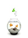 Different, Green fish jumping out of a fishbowl of ordinary goldfish. Royalty Free Stock Photo