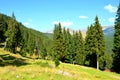 Padina chalet in Bucegi Massif, in Carpathian Bend Mountains, Transylvania, Romania. Royalty Free Stock Photo