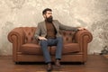 Being himself being authentic. Man of business. Elegant business man relaxing on sofa. Confident business coach. Bearded Royalty Free Stock Photo