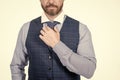 being perfect. cropped professional businessman tie necktie. cropped ceo wear formal clothes. Royalty Free Stock Photo