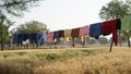 Clothes drying on a clothesline, Clean washing hanging on clothesline hung in backyard Royalty Free Stock Photo