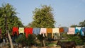 Clothes drying on a clothesline, Clean washing hanging on clothesline hung in backyard Royalty Free Stock Photo