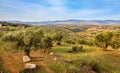 Beit Netofa Valley Royalty Free Stock Photo