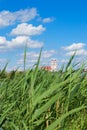 Church against the blue sky, behind the lake and the high reed