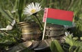 Belarus flag with stack of money coins with grass Royalty Free Stock Photo