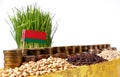 Belarus flag waving with stack of money coins and piles of seeds Royalty Free Stock Photo