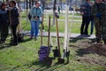 Shovels prepared for planting trees.