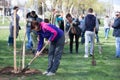 People plant trees.