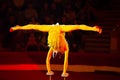 Girl gymnast performs in the circus.