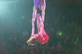 Circus gymnasts performs