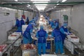 Meat production. workers behind a conveyor belt at a meat factory