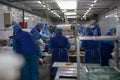 Meat production. workers behind a conveyor belt at a meat factory