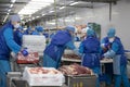 Meat production. workers behind a conveyor belt at a meat factory