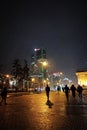 Belarus, Minsk - 09 february, 2023: Snowfall at night