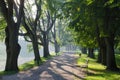 Belarus, Nesvizh. Sunny morning in the park Royalty Free Stock Photo