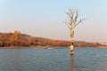 Belarus travel Dubrovo man-made lake evening