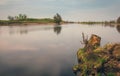 Belarusian landscape. The Pina River flows through the Polesye Brest region.