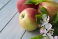 Belarussian apples and apple tree blossoms on a wooden background Royalty Free Stock Photo