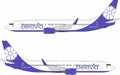 Belavia Boeing 737-800 NG Vector