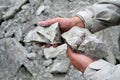 Belemnite fossil in chalk rock quarry.