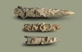 Belemnite - fossil clam. Royalty Free Stock Photo