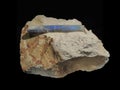 Belemnite fossil opal