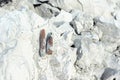 Belemnite fossils in chalk rock. quarry mine Royalty Free Stock Photo