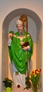 Saint Patrick statue at the St Patrick's Church Royalty Free Stock Photo