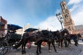 Belfort tower in Bruges at the Market Square with horses, Belgium. Royalty Free Stock Photo