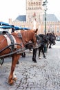Belfort tower in Bruges at the Market Square with horses, Belgium. Royalty Free Stock Photo