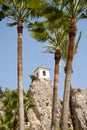 Belfry behind Palm Trees Royalty Free Stock Photo