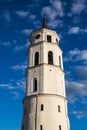 Belfry of Vilnius Cathedral Royalty Free Stock Photo