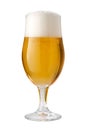 Belgian Ale (Beer) Isolated with clipping path Royalty Free Stock Photo