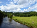 Belgian ardennen with river, cows and a train bridge in forest landscape. Royalty Free Stock Photo