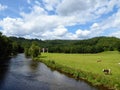 Belgian ardennen with river, cows and a train bridge in forest landscape.