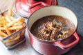 Belgian Beef stew with French fries