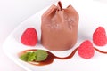 Belgian chocolate dessert and raspberries Royalty Free Stock Photo