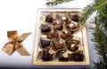 Belgian chocolate pralines Royalty Free Stock Photo