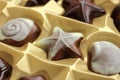 Belgian chocolates Royalty Free Stock Photo