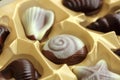 Belgian chocolates Royalty Free Stock Photo