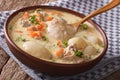 Belgian cuisine: cream soup with chicken close up in a bowl. horizontal Royalty Free Stock Photo