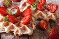 Belgian cuisine: waffles with strawberries, powdered sugar macro Royalty Free Stock Photo