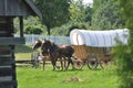 Belgian Draft Team on Covered Wagon