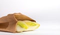 Belgian endive on a white background Royalty Free Stock Photo