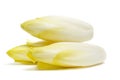 Belgian endives Royalty Free Stock Photo